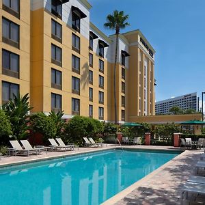 Springhill Suites By Marriott Tampa Westshore